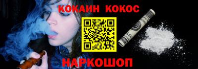 стаф Можга