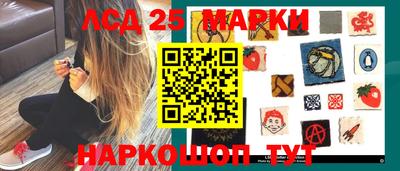 стаф Можга