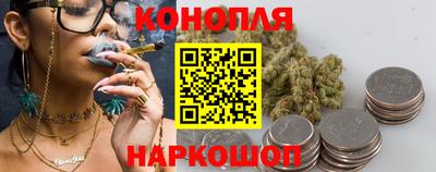 стаф Можга