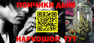 стаф Можга