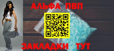 стаф Можга
