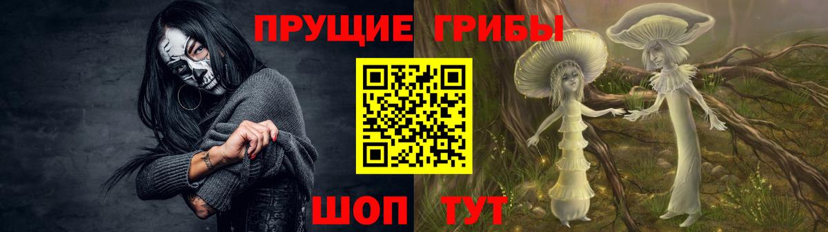Жуковский  Псилоцибиновые грибы Psilocybe  наркошоп  Вход с VPN  Галлюциногенные грибы Cubensis 